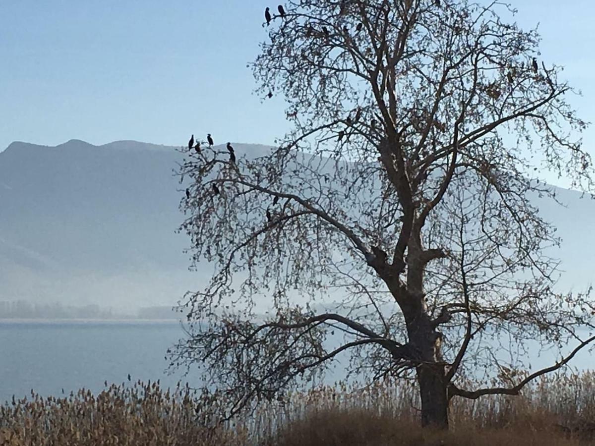 The Little Stone House By The Lake Kastoria Eksteriør billede